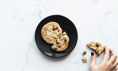 lactation cookies