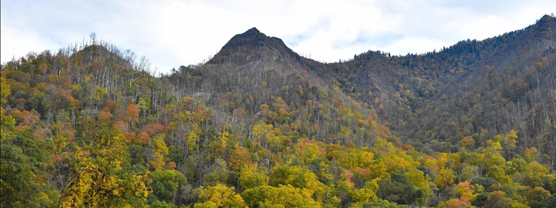 Smoky Mountains Family Travel Guide