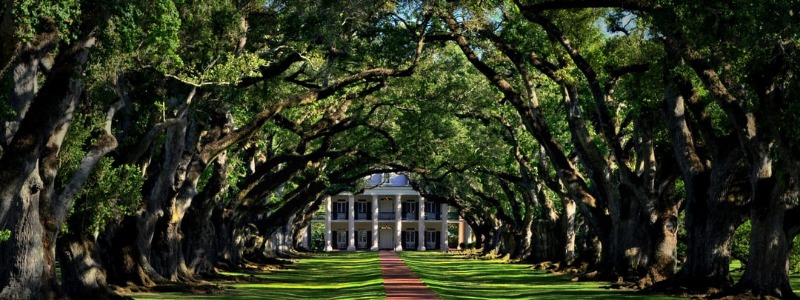 Guide to North Carolina Plantations