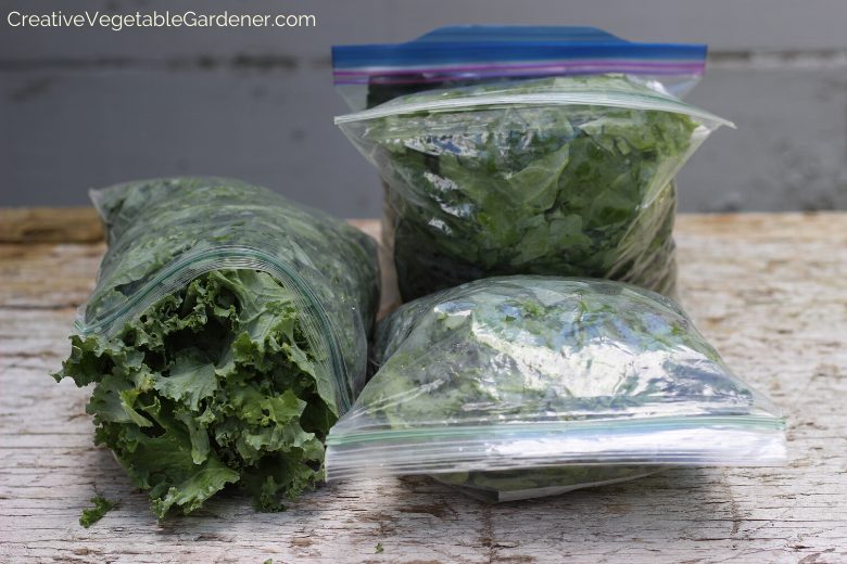 Quickly Freeze Kale