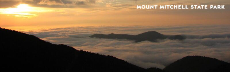 A dark view of Mount Mitchell State Park