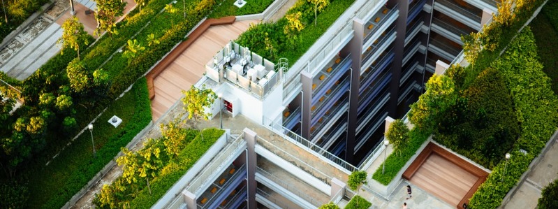 rooftop garden