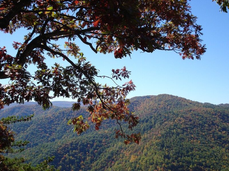 Blue Ridge Parkway, National Forest, Mountains, Nature