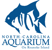 North Carolina Aquarium on Roanoke Island